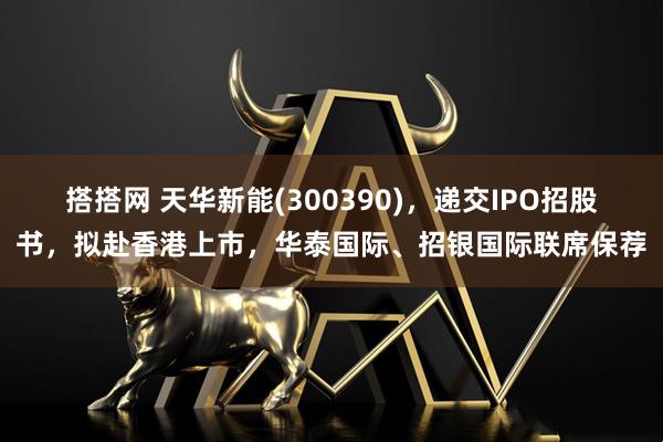 搭搭网 天华新能(300390),递交IPO招股书,拟赴香港上市,华泰国际、招银国际联席保荐