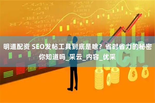 明道配资 SEO发帖工具到底是啥？省时省力的秘密你知道吗_采云_内容_优采